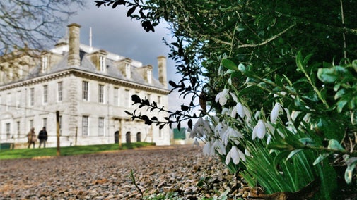 A clump of snowdrops in the foreground with a stone mansion behind